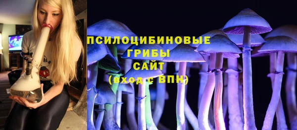 apvp Арсеньев